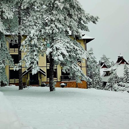 Matija Lux Konaci Apartment Zlatibor Luaran gambar