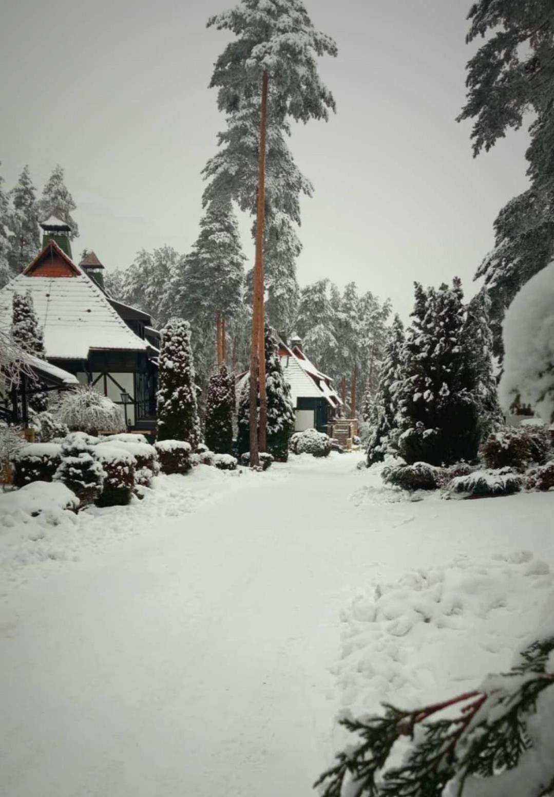 Matija Lux Konaci Apartment Zlatibor Luaran gambar