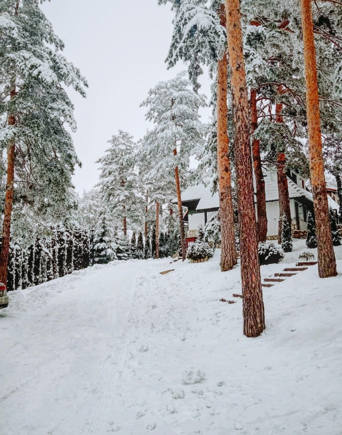 Matija Lux Konaci Apartment Zlatibor Luaran gambar