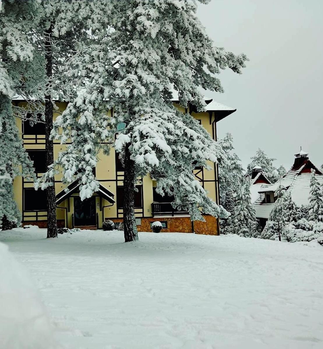 Matija Lux Konaci Apartment Zlatibor Luaran gambar